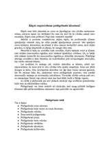 Referāts 'Klientu kvalitatīva apkalpošana', 33.