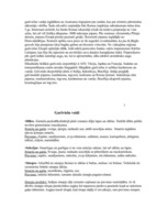 Referāts 'Garšvielas, garšaugi', 5.