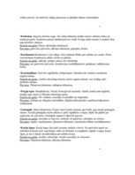 Referāts 'Garšvielas, garšaugi', 7.