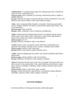 Referāts 'Garšvielas, garšaugi', 8.