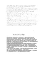 Referāts 'Garšvielas, garšaugi', 17.