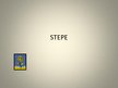 Prezentācija 'Stepe', 1.