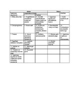 Paraugs 'Aktīvs un pasīvs bilancē', 2.