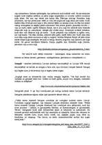 Konspekts 'Latvijas teritorijā dzīvojošās baltu tautas pirms krustnešu iebrukšanas 13.gadsi', 4.