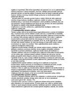 Konspekts 'Uzņēmējdarbības plānošana', 4.