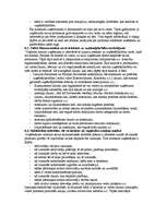 Konspekts 'Uzņēmējdarbības plānošana', 31.