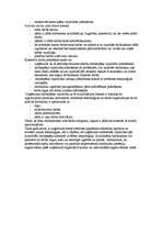 Konspekts 'Uzņēmējdarbības plānošana', 65.