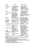 Konspekts 'Uzņēmējdarbības plānošana', 70.