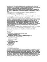 Konspekts 'Uzņēmējdarbības plānošana', 96.