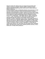 Konspekts 'Uzņēmējdarbības plānošana', 99.