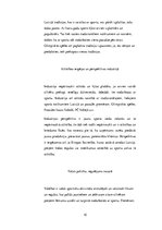 Biznesa plāns 'Biznesa plāna izvēlētās industrijas un produkta analīze', 10.