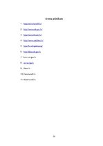 Biznesa plāns 'Biznesa plāna izvēlētās industrijas un produkta analīze', 32.