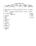 Konspekts 'Tiesību normu klasifikācija', 4.