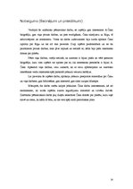 Referāts 'Pilsētas atspoguļojums Aleksandra Čaka prozā', 14.