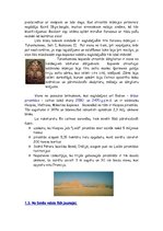 Referāts 'Senā Ēģipte', 4.