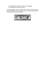 Referāts 'Senā Ēģipte', 20.