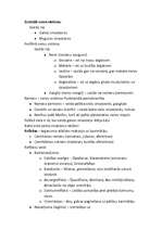 Konspekts 'Centrālā nervu sistēma', 1.