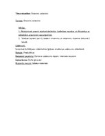 Konspekts 'Stundas konspekts latgaliešu valodā. Sinonīmi, antonīmi', 1.