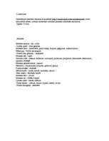 Konspekts 'Stundas konspekts latgaliešu valodā. Sinonīmi, antonīmi', 3.