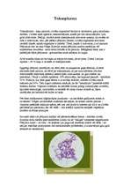 Konspekts 'Toksoplazma', 1.