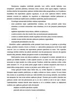 Eseja 'Mana biznesa ideja', 2.