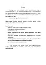 Prakses atskaite 'Mārketinga prakses atskaite SIA "X"', 1.