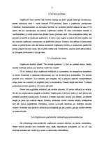 Prakses atskaite 'Mārketinga prakses atskaite SIA "X"', 4.