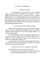 Prakses atskaite 'Mārketinga prakses atskaite SIA "X"', 6.