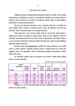 Prakses atskaite 'Mārketinga prakses atskaite SIA "X"', 11.