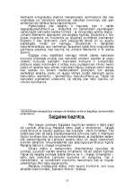 Referāts 'Baroka laika koktēlniecība Kurzemes baznīcās', 15.