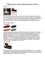 Prezentācija 'Coffins', 55.