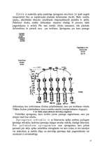 Referāts 'Vara ražošanas tehnoloģijas', 14.