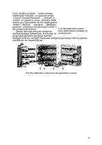 Referāts 'Vara ražošanas tehnoloģijas', 28.
