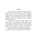 Referāts 'Mīlestības ētika', 3.