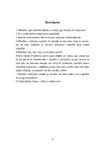 Referāts 'Mīlestības ētika', 13.