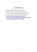 Referāts 'Mīlestības ētika', 14.