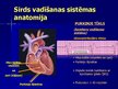 Prezentācija 'EKG pamati, dzīvībai bīstamie ritmi', 21.