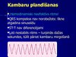 Prezentācija 'EKG pamati, dzīvībai bīstamie ritmi', 33.