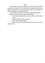 Referāts 'Uzņēmuma "LatEL montāža" bilances pētīšana', 2.