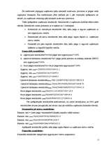 Referāts 'Uzņēmuma "LatEL montāža" bilances pētīšana', 12.