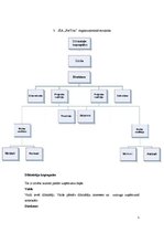 Biznesa plāns 'Kursa projekts vadības teorijā SIA "ForYou"', 5.