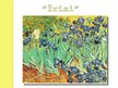 Prezentācija 'Vinsents van Gogs', 7.