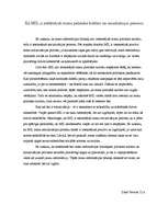 Eseja 'Kā masu informācijas līdzekļi ir ietekmējuši manu politisko kultūru un socializā', 1.