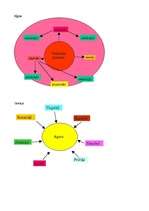 Konspekts 'Filosofijas jēdzieni', 4.