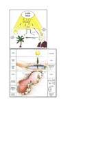 Konspekts 'Filosofijas jēdzieni', 13.