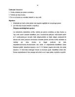 Referāts 'Telpu dizains, preču izvietojuma plānojuma pamatprincipi', 19.