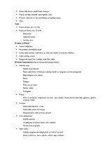 Konspekts 'Ādas vēzis', 8.