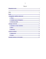 Referāts 'Madagaskaras kultūra', 2.