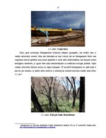 Referāts 'Madagaskaras kultūra', 10.