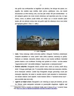 Referāts 'Madagaskaras kultūra', 17.